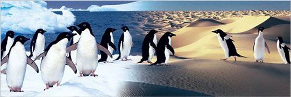 Surreal Penguin Landscape
