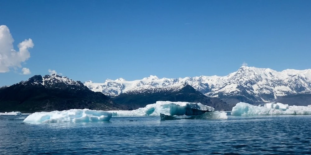Vincent Larrie - Icebergs