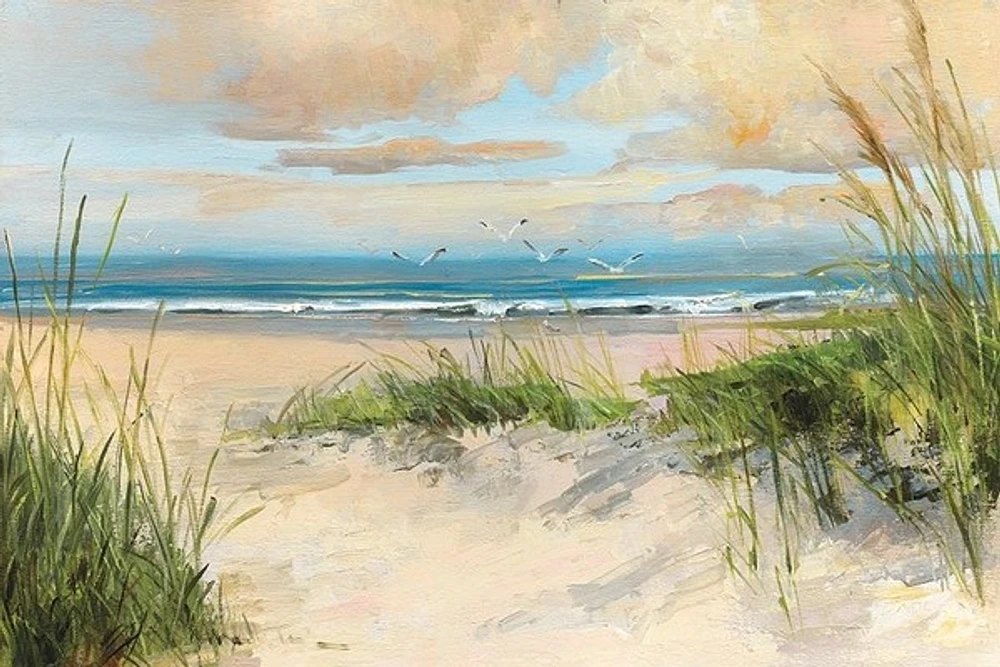 Sally Swatland