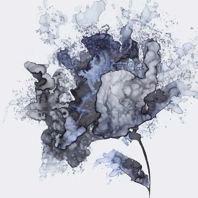 Eva Watts - Exploding Leaf
