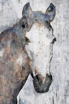Irena Orlov