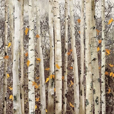 Allison Pearce - Serene Union
