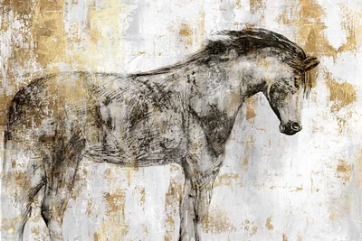 PI Studio - Equestrian