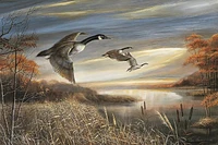 Ruane Manning - Migration South