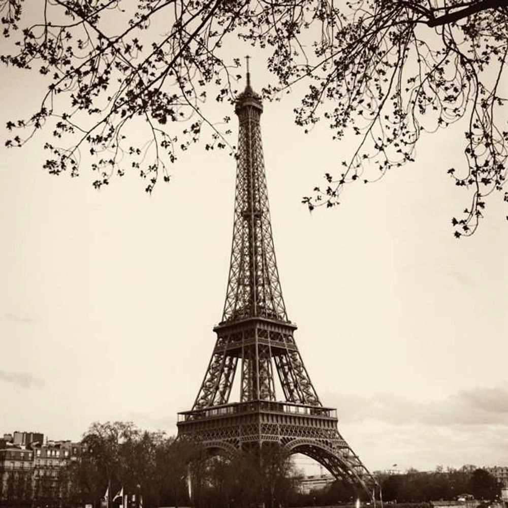 Alan Blaustein - Tour Eiffel
