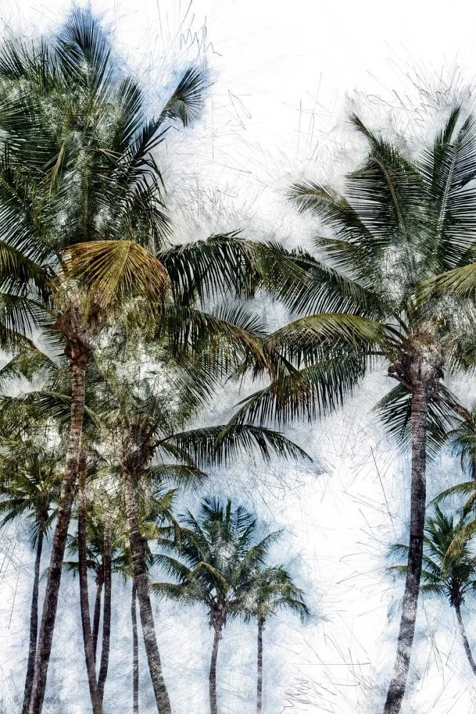Golie Miamee - Dorado Palms 2