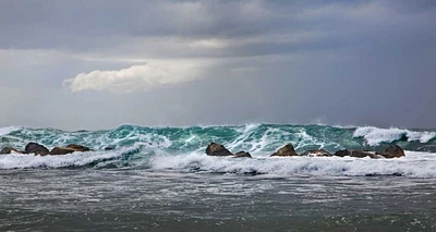 Golie Miamee - Storm Dorado