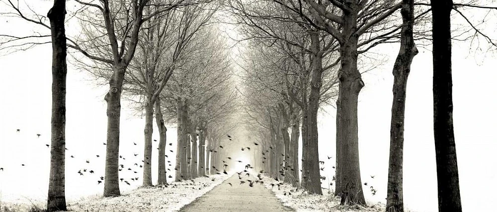 Lars Van de Goor