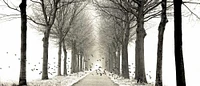 Lars Van de Goor
