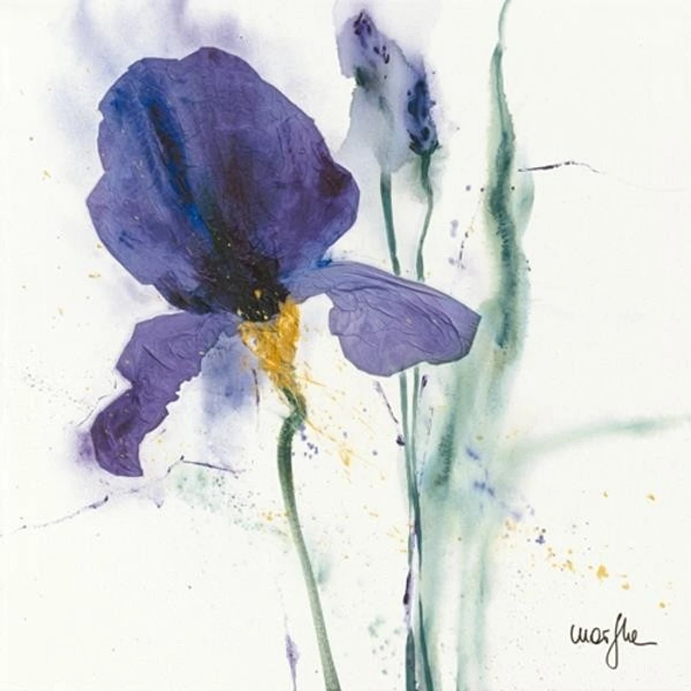 Marthe - Iris I