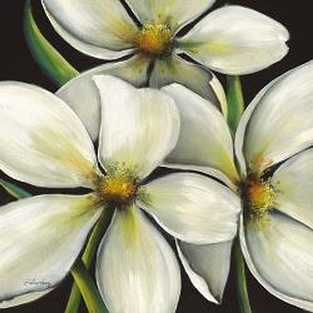 Karen Plimpton