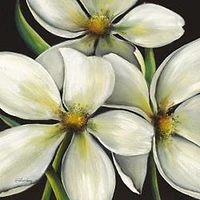 Karen Plimpton