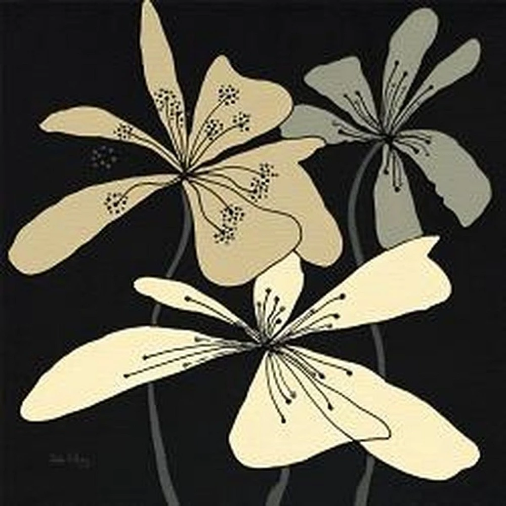Karen Plimpton