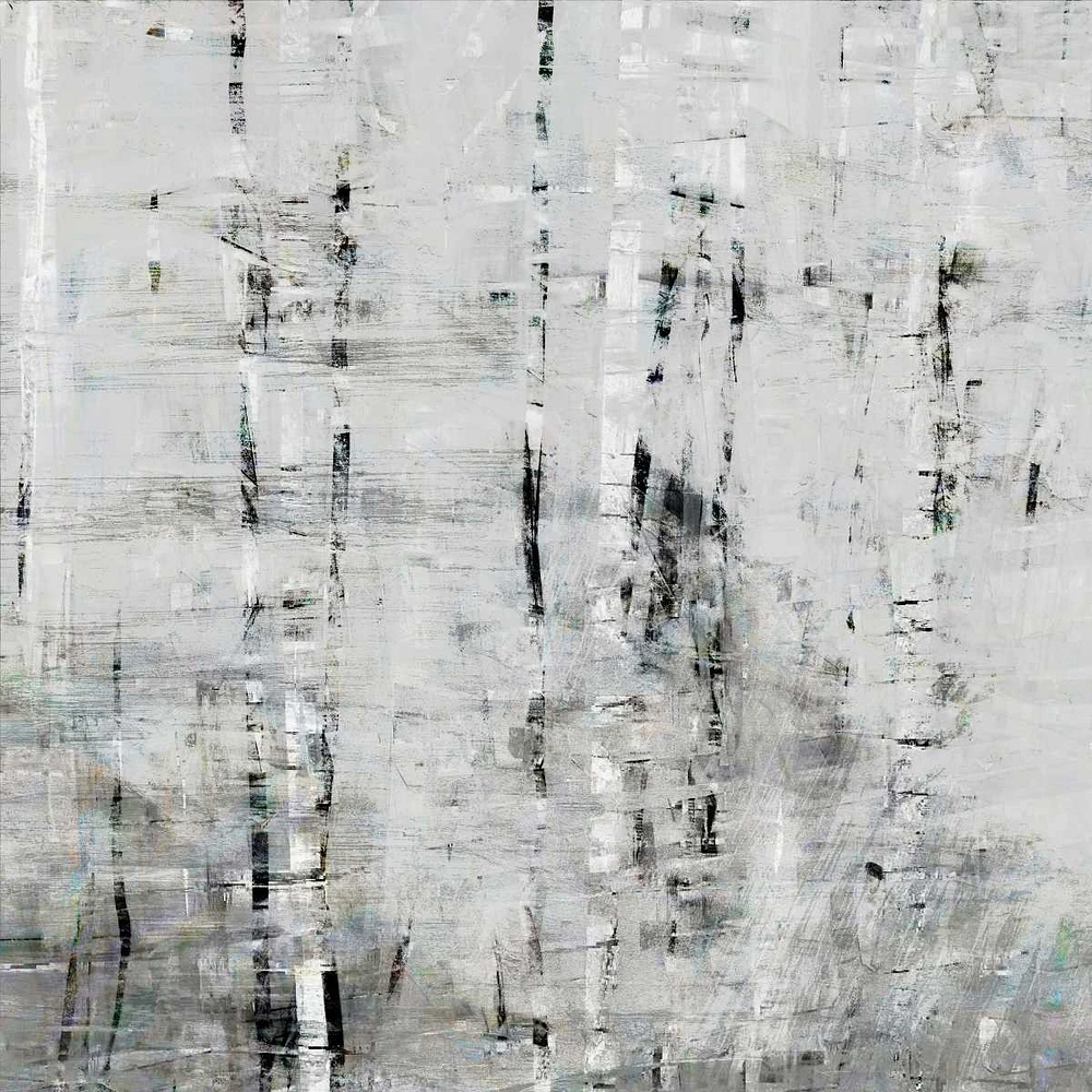 John Bingham - Birch Perspective Grey III