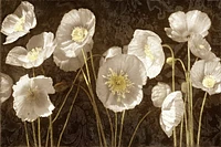 Ives Mccoll