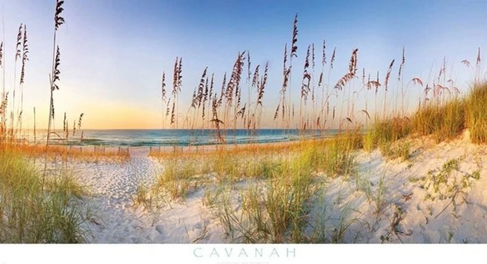 Doug Cavanah - Along The Strand - Ovsz