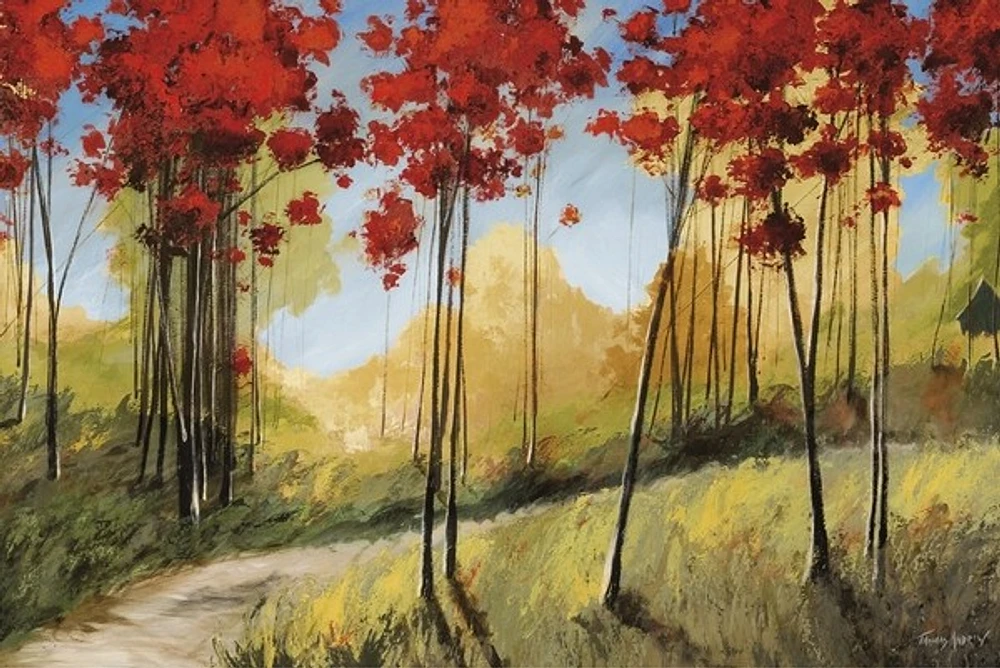 Thomas Andrew - Forest Trail