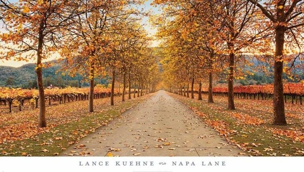 Lance Kuehne - Napa Lane
