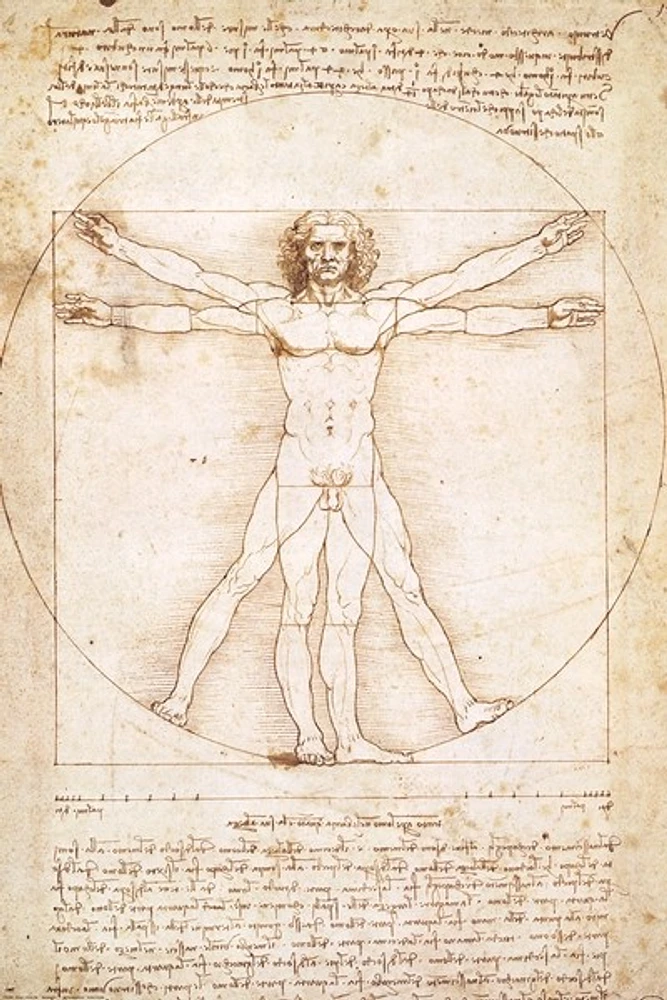 Leonardo Da Vinci - Vitruvian Man