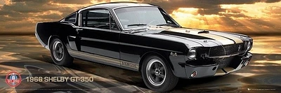Ford Shelby - GT350  