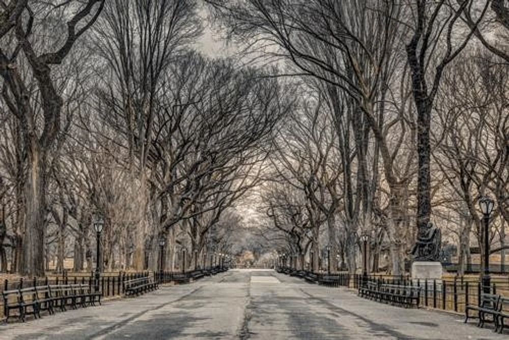 New York Central Park