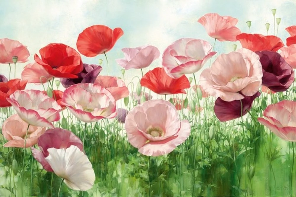 Igor Levashov - Poppies Pleasure