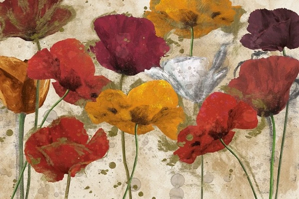 Katrina Craven - Happy Flowers