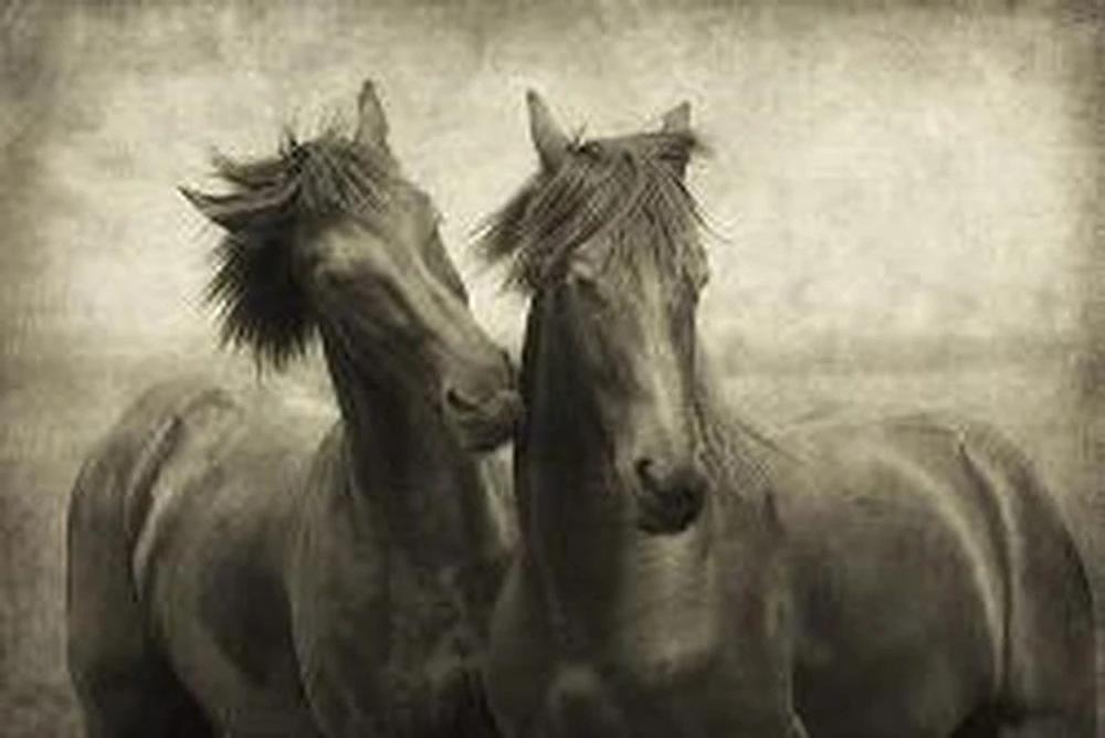 Lars Van De Goor - Horses Don't Whisper,They Just Talk
