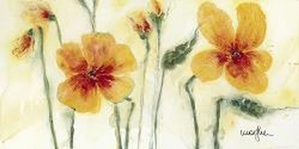 Pansies-Marthe
