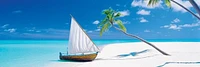 Paradise Found  