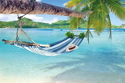 Tropical Hammock  