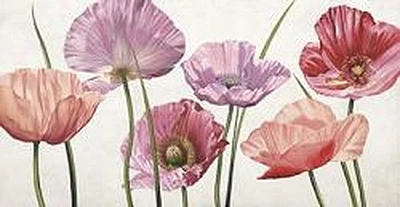 Pink Flowers  
