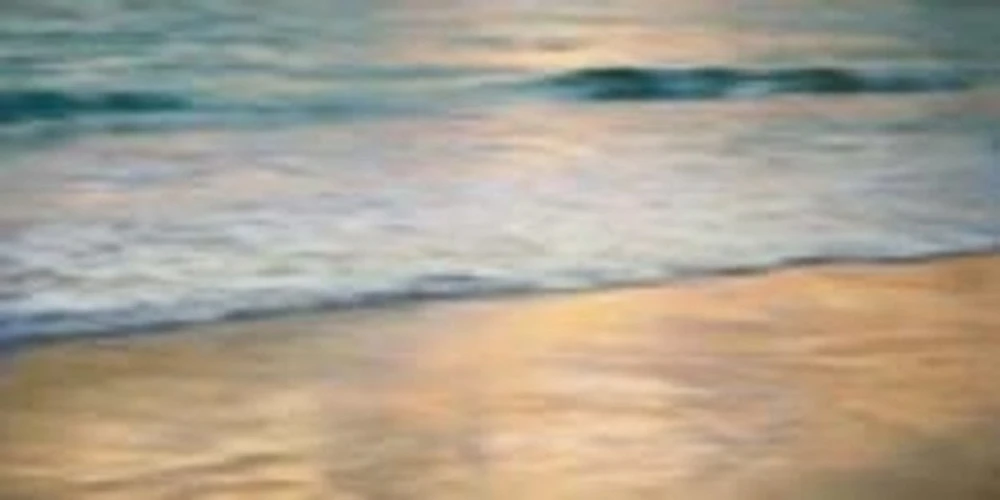John Seba - Shoreline Sunset