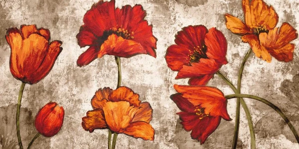 Brian Francis - Poppy Paradise