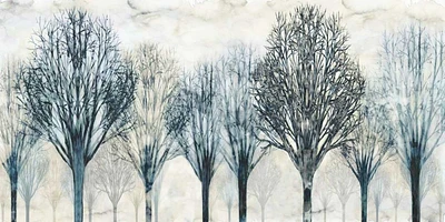 Chris Donovan - The Grove