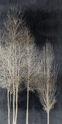 Kate Bennett