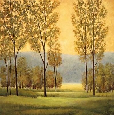 Chris Donovan