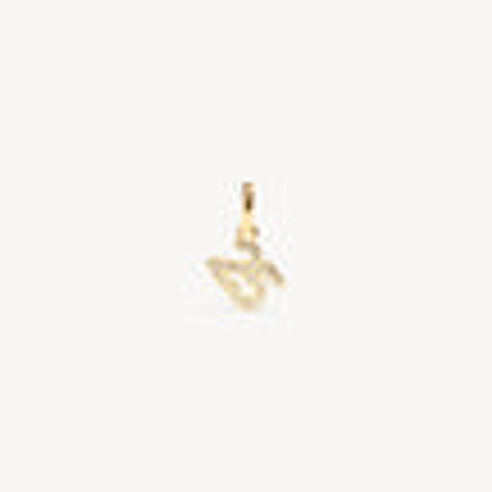 2025 Charm