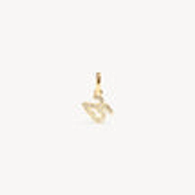 2025 Charm