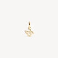 2025 Charm