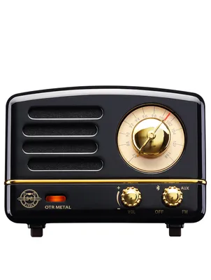 OTR Metal Portable FM Radio & Bluetooth Speaker