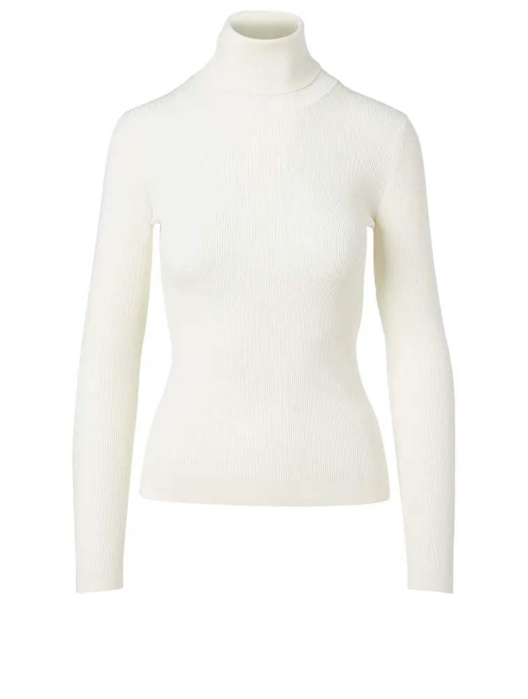 Wool Turtleneck Knit Top