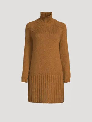 Turtleneck Sweater Dress
