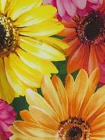 Poplin Midi Dress Gerbera Daisy Print