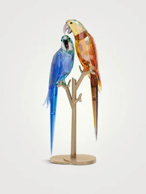 Jungle Beats Parrot Couple Decoration