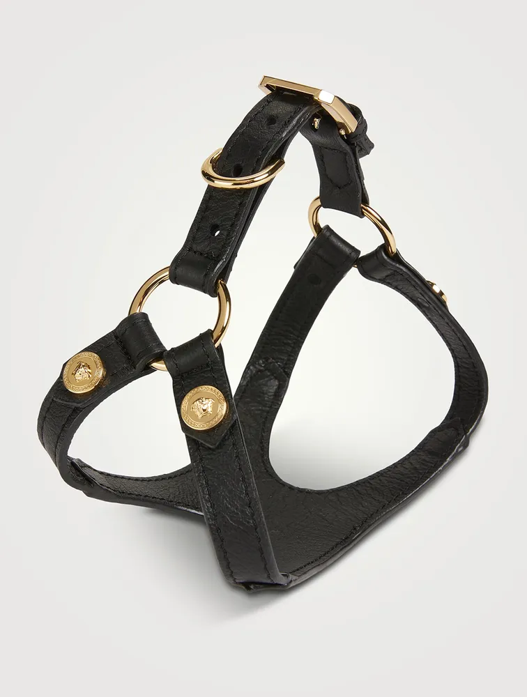 Medusa Studs Pet Harness