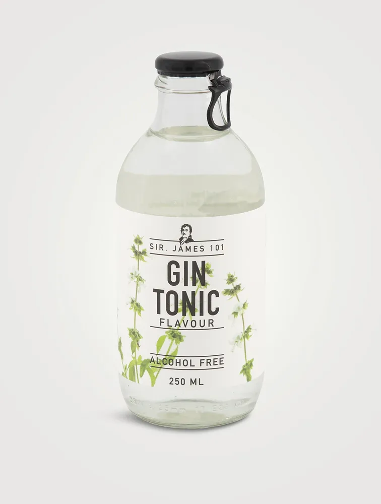 Alcohol Free Gin Tonic