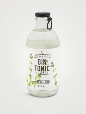 Alcohol Free Gin Tonic