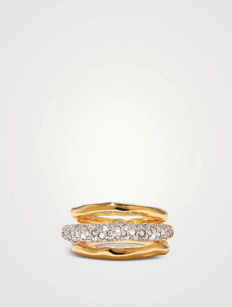 Solanales Orbit Ring