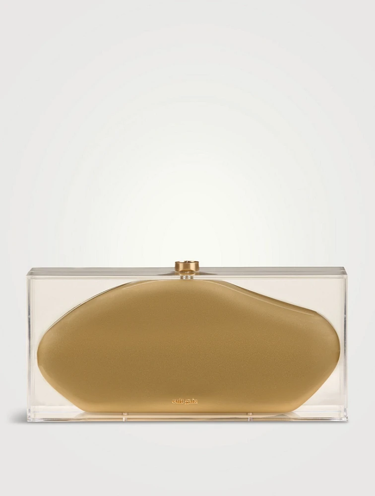 Annika Acrylic Clutch